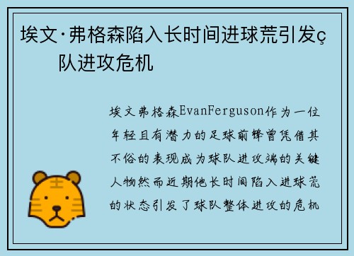 埃文·弗格森陷入长时间进球荒引发球队进攻危机